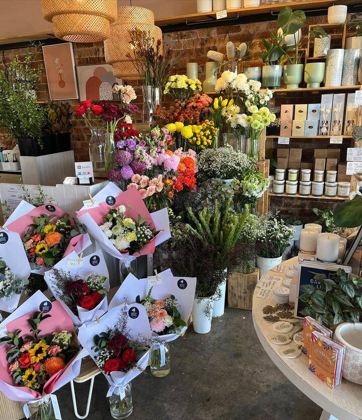 Alderley Flowers shop with plants and fresh flowers